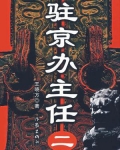 驻京办主任(二)