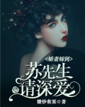 娇妻嫁到:苏先生请深爱