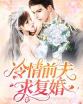 冷情前夫求复婚