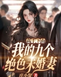 高手下山,我的九个绝色未婚妻