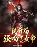 我开局强吻了女帝