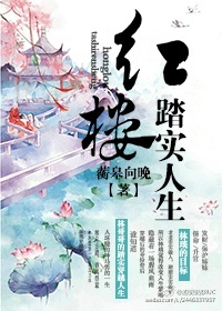 红楼踏实人生