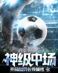 神级中场,开局加满长传属性